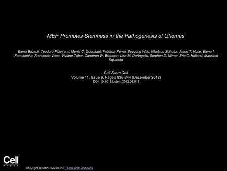 MEF Promotes Stemness in the Pathogenesis of Gliomas