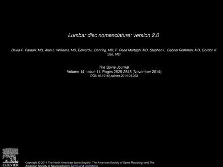 Lumbar disc nomenclature: version 2.0