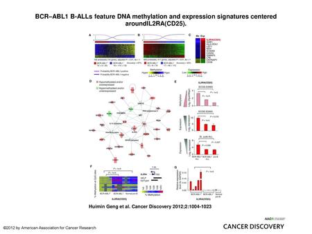 BCR–ABL1 B-ALLs feature DNA methylation and expression signatures centered aroundIL2RA(CD25). BCR–ABL1 B-ALLs feature DNA methylation and expression signatures.