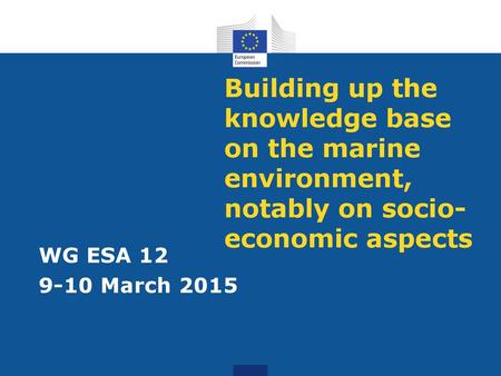 Building up the knowledge base on the marine environment, notably on socio-economic aspects WG ESA 12 9-10 March 2015.