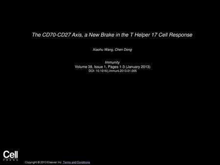 The CD70-CD27 Axis, a New Brake in the T Helper 17 Cell Response
