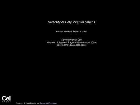 Diversity of Polyubiquitin Chains