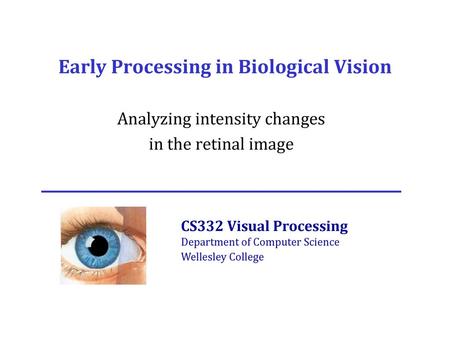 Early Processing in Biological Vision
