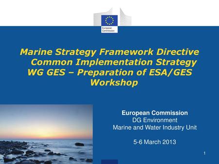 DG Environment, Unit D.2 Marine Environment and Water Industry