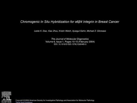 Chromogenic In Situ Hybridization for α6β4 Integrin in Breast Cancer