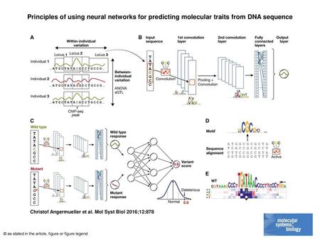 Principles of using neural networks for predicting molecular traits from DNA sequence Principles of using neural networks for predicting molecular traits.