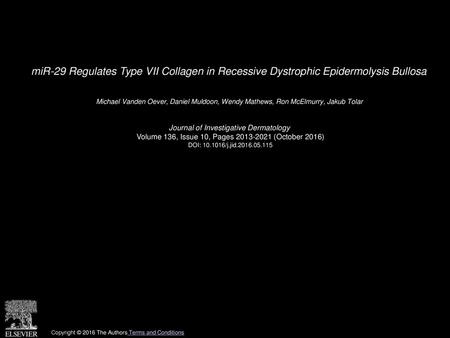 MiR-29 Regulates Type VII Collagen in Recessive Dystrophic Epidermolysis Bullosa  Michael Vanden Oever, Daniel Muldoon, Wendy Mathews, Ron McElmurry, Jakub.