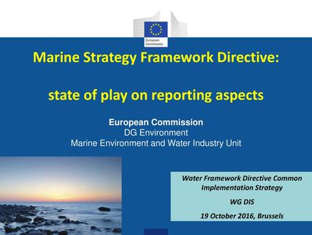 Marine Strategy Framework Directive: