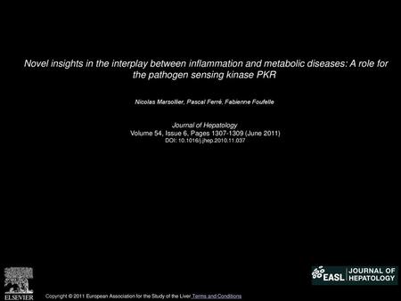 Novel insights in the interplay between inflammation and metabolic diseases: A role for the pathogen sensing kinase PKR  Nicolas Marsollier, Pascal Ferré,