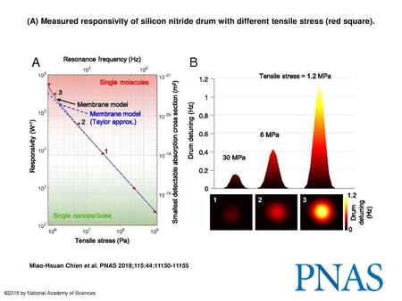 (A) Measured responsivity of silicon nitride drum with different tensile stress (red square). (A) Measured responsivity of silicon nitride drum with different.