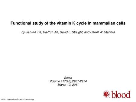 Functional study of the vitamin K cycle in mammalian cells