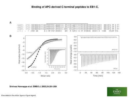 Binding of APC‐derived C‐terminal peptides to EB1‐C.