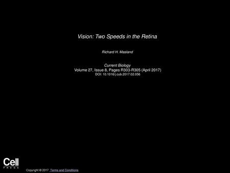 Vision: Two Speeds in the Retina