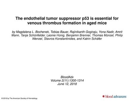 The endothelial tumor suppressor p53 is essential for venous thrombus formation in aged mice by Magdalena L. Bochenek, Tobias Bauer, Rajinikanth Gogiraju,