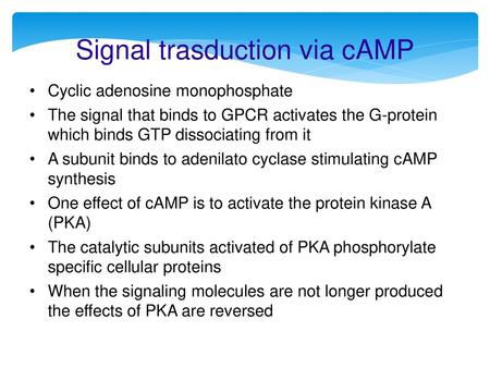 Signal trasduction via cAMP
