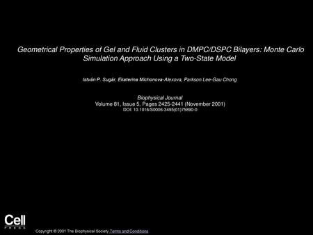 Geometrical Properties of Gel and Fluid Clusters in DMPC/DSPC Bilayers: Monte Carlo Simulation Approach Using a Two-State Model  István P. Sugár, Ekaterina.