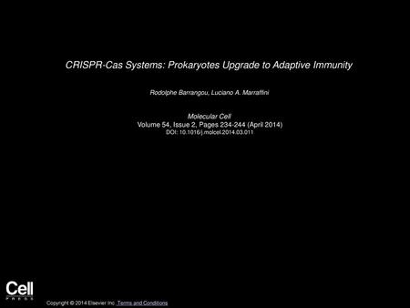 CRISPR-Cas Systems: Prokaryotes Upgrade to Adaptive Immunity