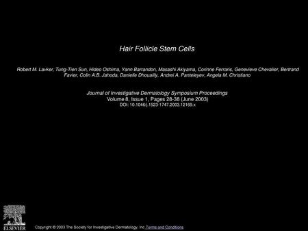 Hair Follicle Stem Cells
