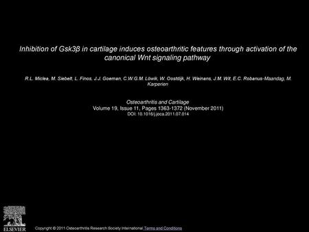 Inhibition of Gsk3β in cartilage induces osteoarthritic features through activation of the canonical Wnt signaling pathway  R.L. Miclea, M. Siebelt, L.