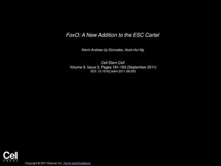 FoxO: A New Addition to the ESC Cartel