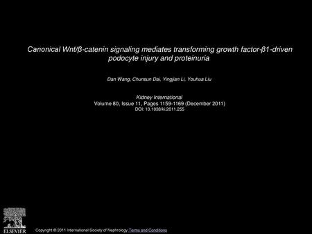 Canonical Wnt/β-catenin signaling mediates transforming growth factor-β1-driven podocyte injury and proteinuria  Dan Wang, Chunsun Dai, Yingjian Li, Youhua.