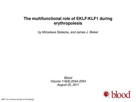 The multifunctional role of EKLF/KLF1 during erythropoiesis