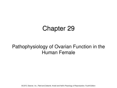 Pathophysiology of Ovarian Function in the Human Female