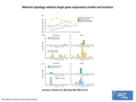 Network topology reflects target gene expression profile and function.