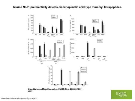 Murine Nod1 preferentially detects diaminopimelic acid‐type muramyl tetrapeptides. Murine Nod1 preferentially detects diaminopimelic acid‐type muramyl.