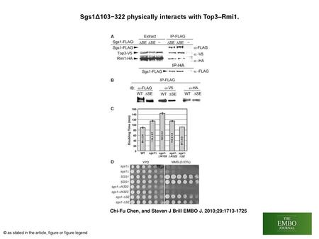 Sgs1Δ103−322 physically interacts with Top3–Rmi1.