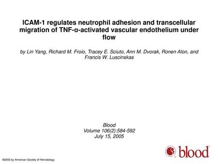 ICAM-1 regulates neutrophil adhesion and transcellular migration of TNF-α-activated vascular endothelium under flow by Lin Yang, Richard M. Froio, Tracey.