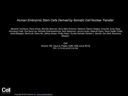Human Embryonic Stem Cells Derived by Somatic Cell Nuclear Transfer