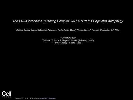 The ER-Mitochondria Tethering Complex VAPB-PTPIP51 Regulates Autophagy