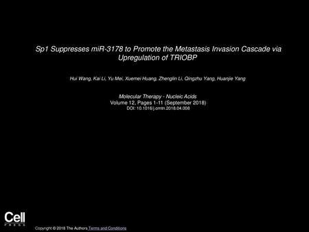 Sp1 Suppresses miR-3178 to Promote the Metastasis Invasion Cascade via Upregulation of TRIOBP  Hui Wang, Kai Li, Yu Mei, Xuemei Huang, Zhenglin Li, Qingzhu.