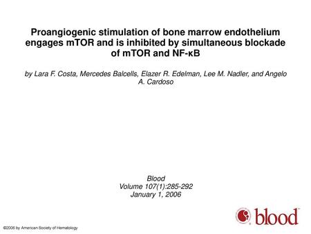 Proangiogenic stimulation of bone marrow endothelium engages mTOR and is inhibited by simultaneous blockade of mTOR and NF-κB by Lara F. Costa, Mercedes.
