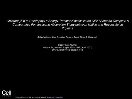 Chlorophyll b to Chlorophyll a Energy Transfer Kinetics in the CP29 Antenna Complex: A Comparative Femtosecond Absorption Study between Native and Reconstituted.