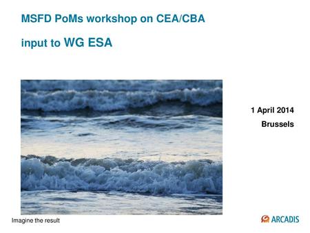 MSFD PoMs workshop on CEA/CBA input to WG ESA