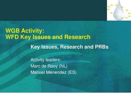 WGB Activity: WFD Key Issues and Research