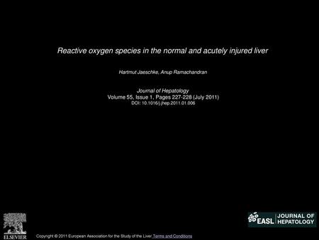 Reactive oxygen species in the normal and acutely injured liver
