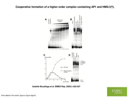 Cooperative formation of a higher‐order complex containing AP1 and HMG‐I(Y). Cooperative formation of a higher‐order complex containing AP1 and HMG‐I(Y).
