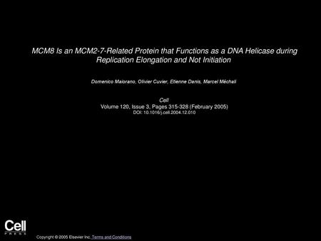 MCM8 Is an MCM2-7-Related Protein that Functions as a DNA Helicase during Replication Elongation and Not Initiation  Domenico Maiorano, Olivier Cuvier,