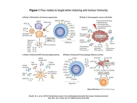 Figure 1 Four nodes to target when inducing anti-tumour immunity