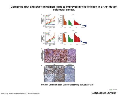 Combined RAF and EGFR inhibition leads to improved in vivo efficacy in BRAF-mutant colorectal cancer. Combined RAF and EGFR inhibition leads to improved.