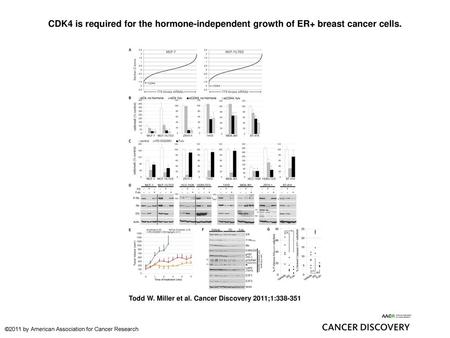 CDK4 is required for the hormone-independent growth of ER+ breast cancer cells. CDK4 is required for the hormone-independent growth of ER+ breast cancer.