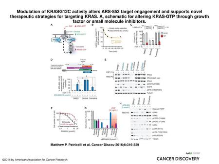 Modulation of KRASG12C activity alters ARS-853 target engagement and supports novel therapeutic strategies for targeting KRAS. A, schematic for altering.
