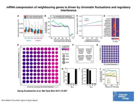MRNA coexpression of neighbouring genes is driven by chromatin fluctuations and regulatory interference mRNA coexpression of neighbouring genes is driven.