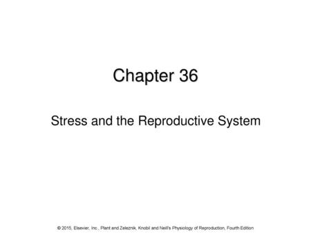 Stress and the Reproductive System