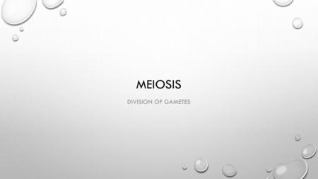 Meiosis Division of Gametes.