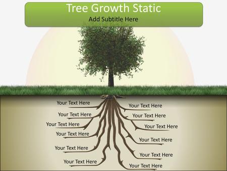 Tree Growth Static Add Subtitle Here Your Text Here Your Text Here
