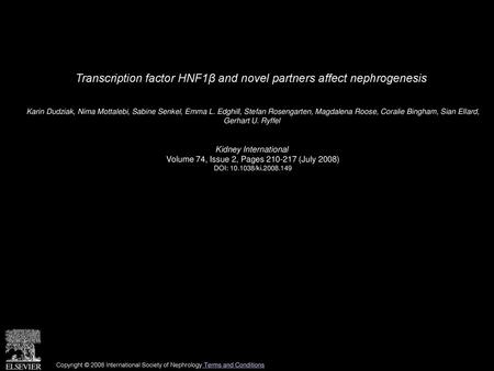 Transcription factor HNF1β and novel partners affect nephrogenesis